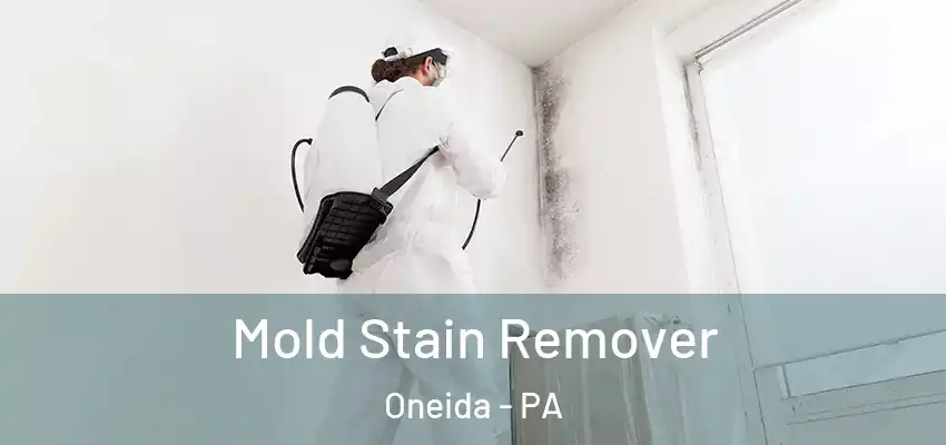Mold Stain Remover Oneida - PA