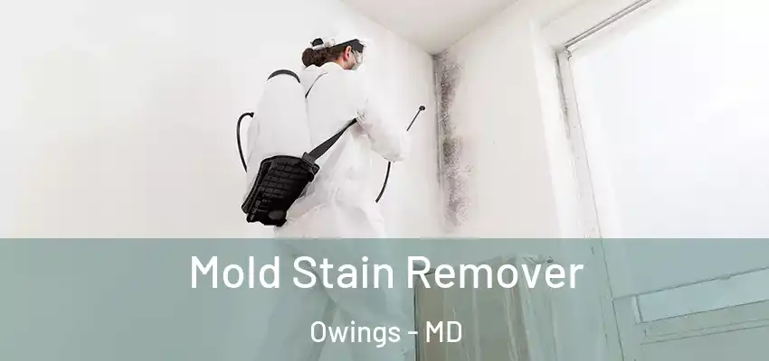 Mold Stain Remover Owings - MD