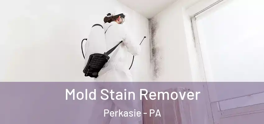 Mold Stain Remover Perkasie - PA