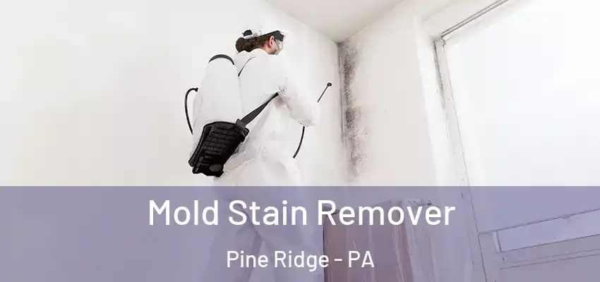 Mold Stain Remover Pine Ridge - PA