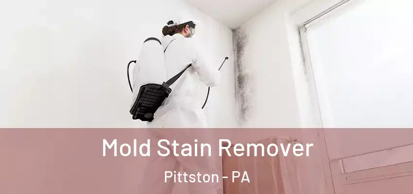 Mold Stain Remover Pittston - PA