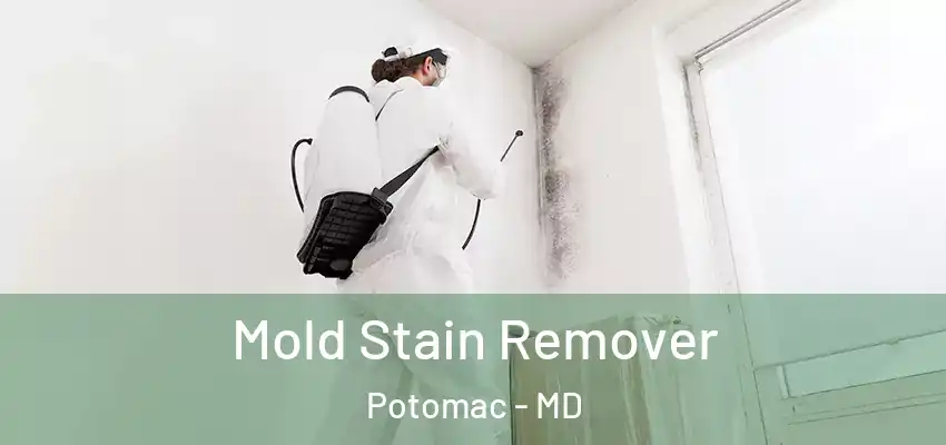 Mold Stain Remover Potomac - MD
