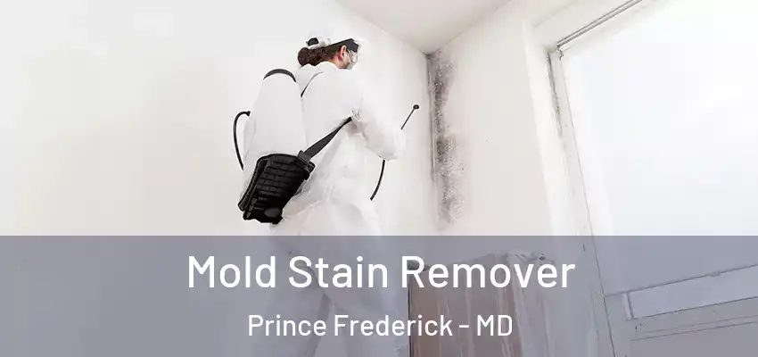 Mold Stain Remover Prince Frederick - MD