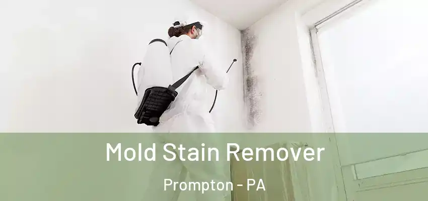 Mold Stain Remover Prompton - PA