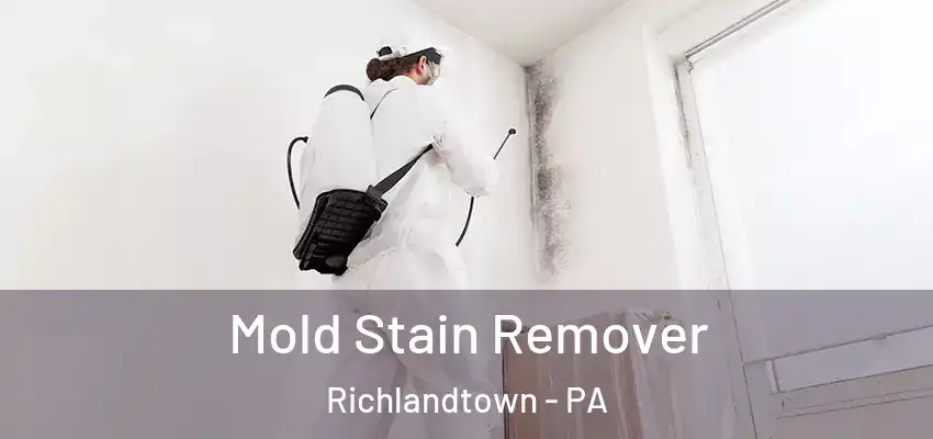 Mold Stain Remover Richlandtown - PA
