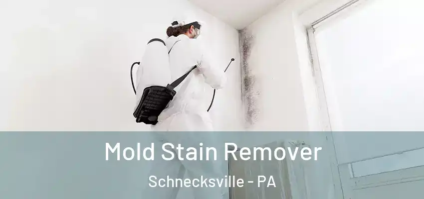 Mold Stain Remover Schnecksville - PA