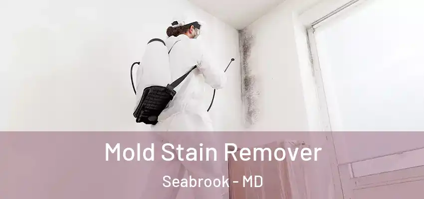 Mold Stain Remover Seabrook - MD
