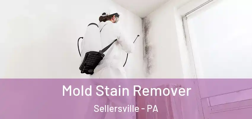 Mold Stain Remover Sellersville - PA