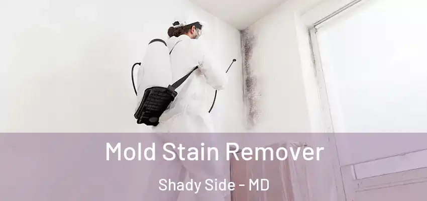  Mold Stain Remover Shady Side - MD