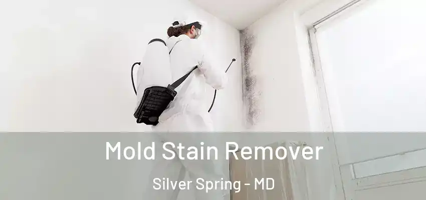Mold Stain Remover Silver Spring - MD