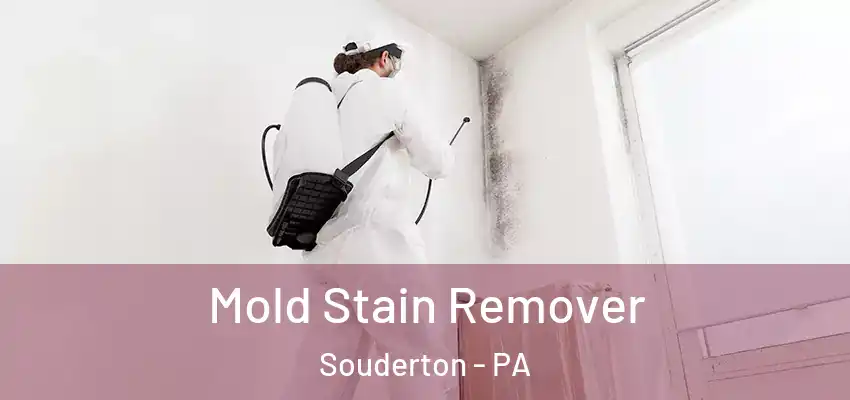 Mold Stain Remover Souderton - PA