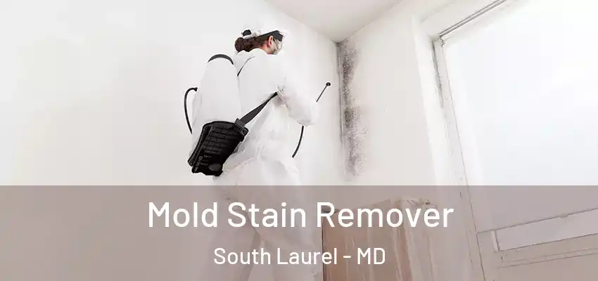 Mold Stain Remover South Laurel - MD