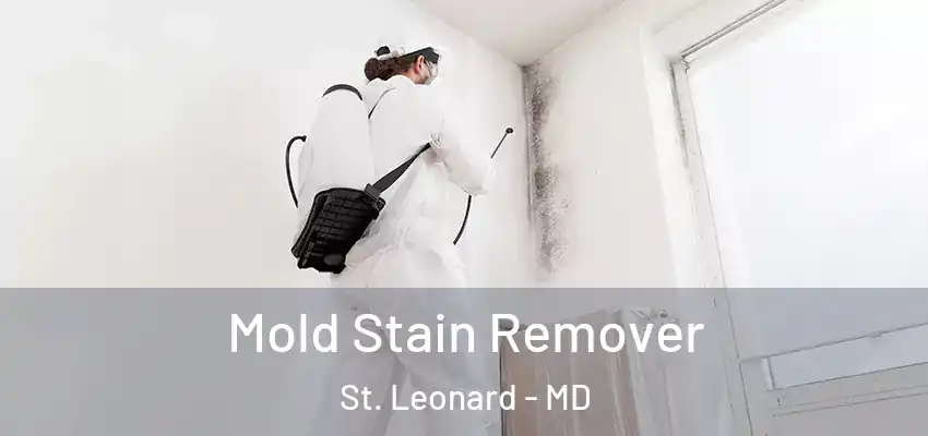 Mold Stain Remover St. Leonard - MD