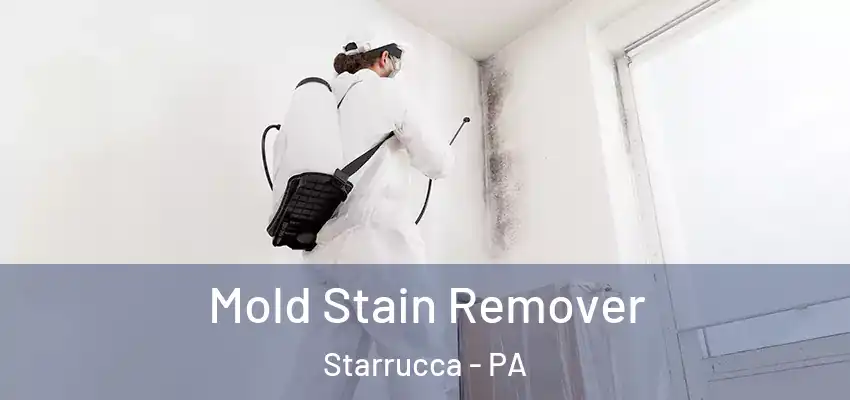 Mold Stain Remover Starrucca - PA