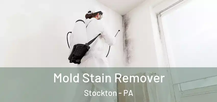 Mold Stain Remover Stockton - PA