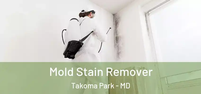 Mold Stain Remover Takoma Park - MD