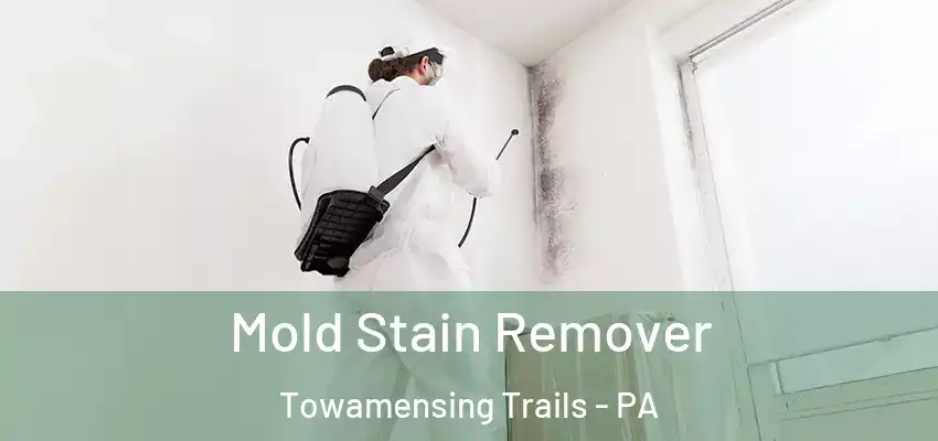 Mold Stain Remover Towamensing Trails - PA