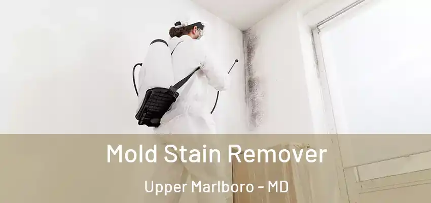 Mold Stain Remover Upper Marlboro - MD