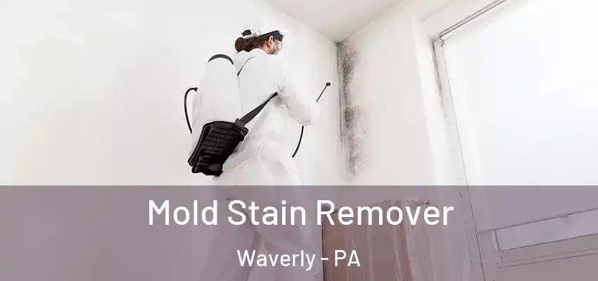 Mold Stain Remover Waverly - PA