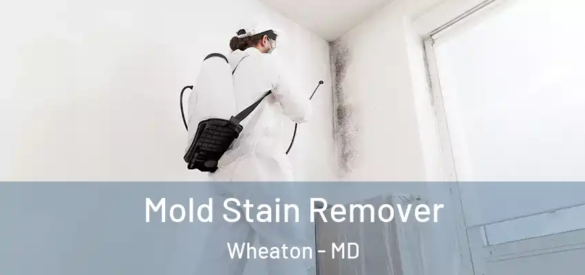 Mold Stain Remover Wheaton - MD