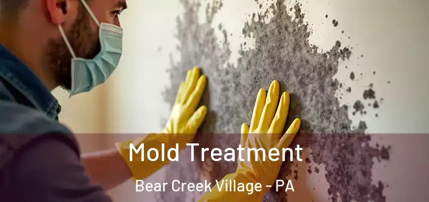 Mold Treatment Bear Creek Village - PA