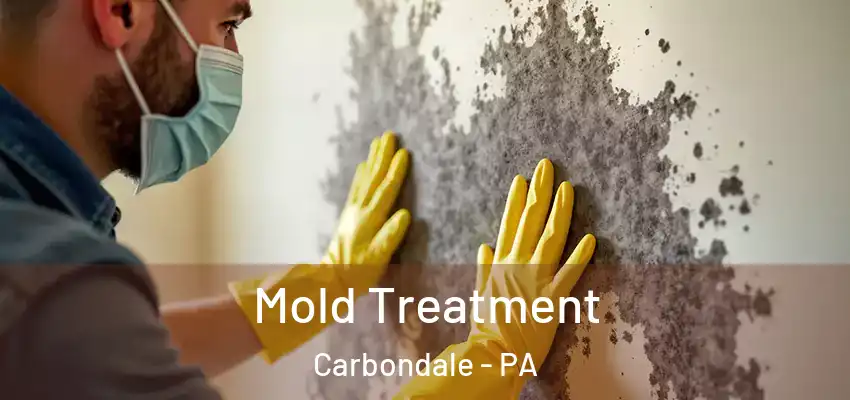 Mold Treatment Carbondale - PA