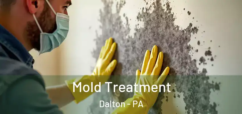 Mold Treatment Dalton - PA