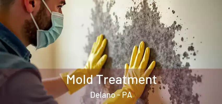 Mold Treatment Delano - PA