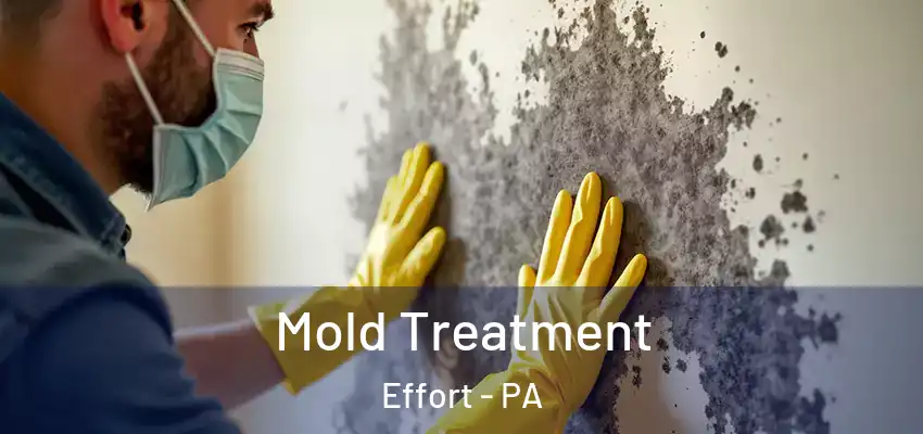 Mold Treatment Effort - PA