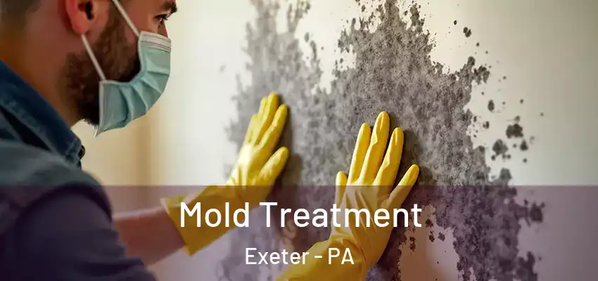 Mold Treatment Exeter - PA