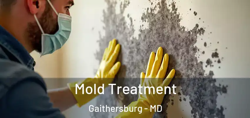 Mold Treatment Gaithersburg - MD