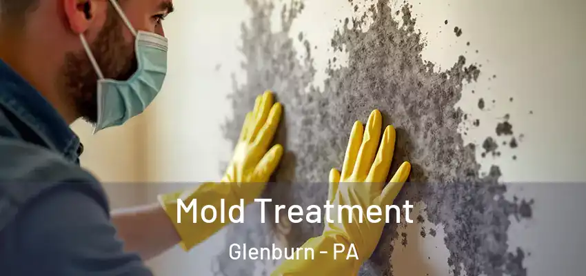 Mold Treatment Glenburn - PA
