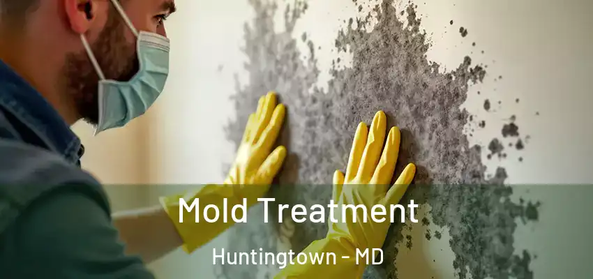 Mold Treatment Huntingtown - MD