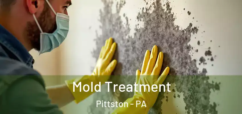 Mold Treatment Pittston - PA