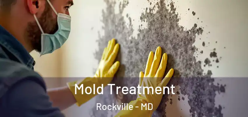  Mold Treatment Rockville - MD