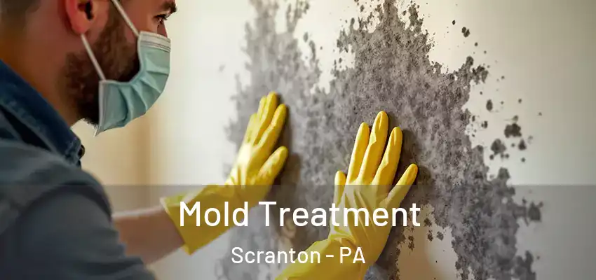 Mold Treatment Scranton - PA