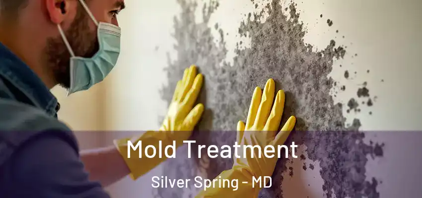Mold Treatment Silver Spring - MD