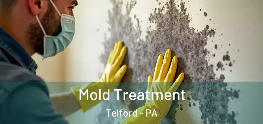 Mold Treatment Telford - PA