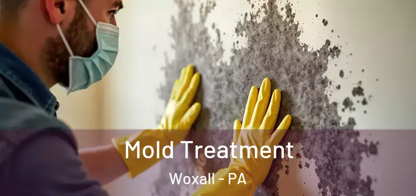 Mold Treatment Woxall - PA