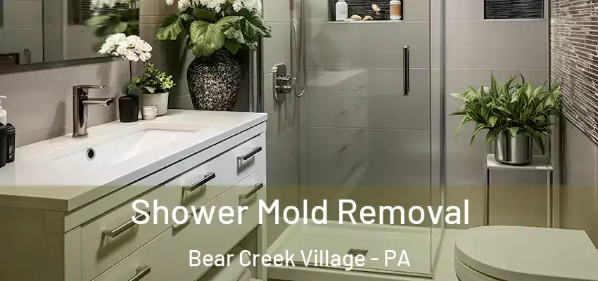 Shower Mold Removal Bear Creek Village - PA