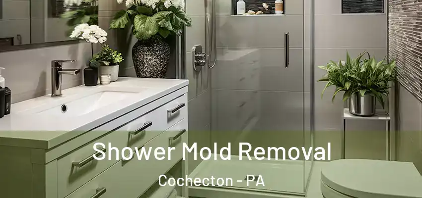 Shower Mold Removal Cochecton - PA