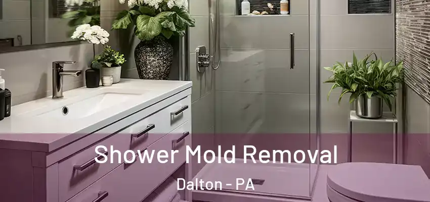 Shower Mold Removal Dalton - PA
