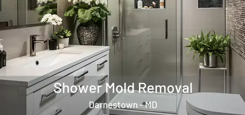  Shower Mold Removal Darnestown - MD
