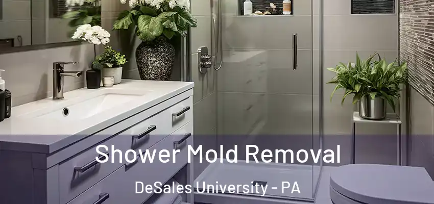 Shower Mold Removal DeSales University - PA