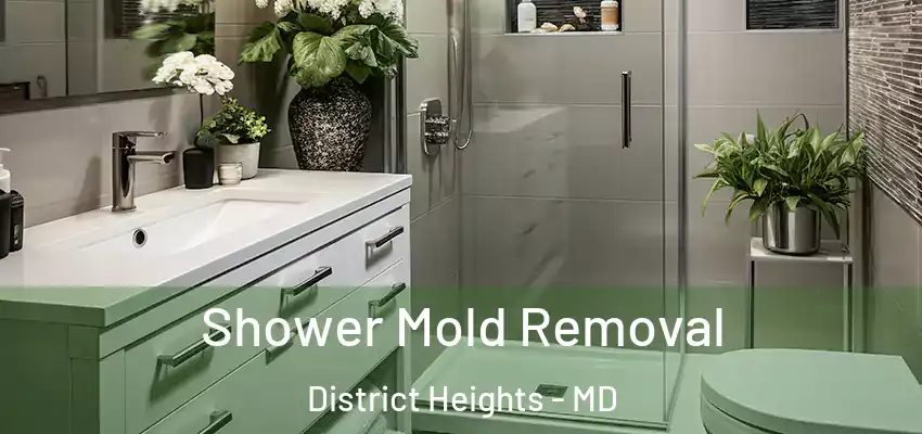 Shower Mold Removal District Heights - MD