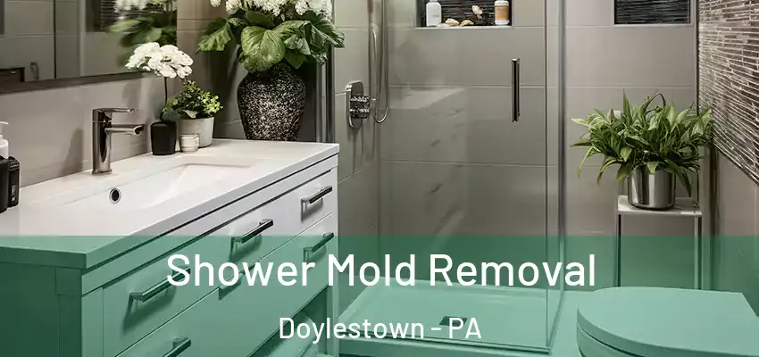 Shower Mold Removal Doylestown - PA
