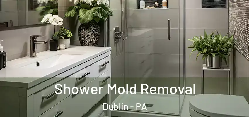 Shower Mold Removal Dublin - PA