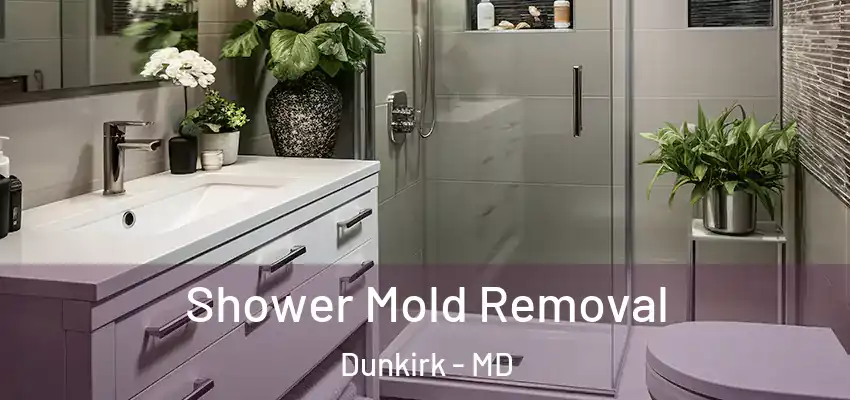 Shower Mold Removal Dunkirk - MD