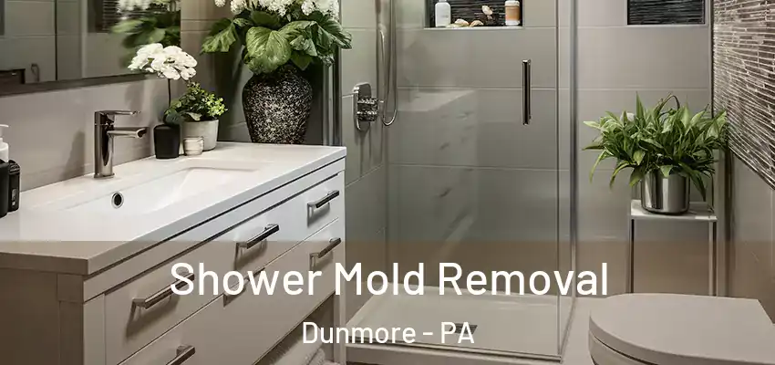 Shower Mold Removal Dunmore - PA
