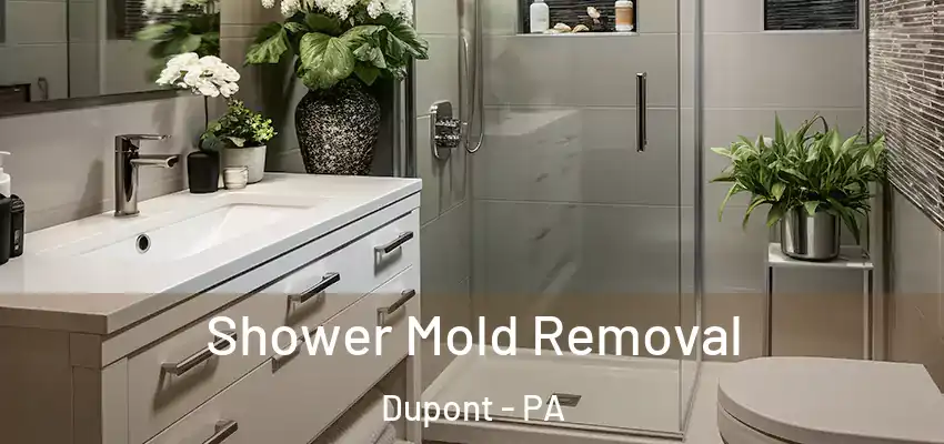 Shower Mold Removal Dupont - PA